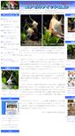 Mobile Screenshot of angelfish.jp